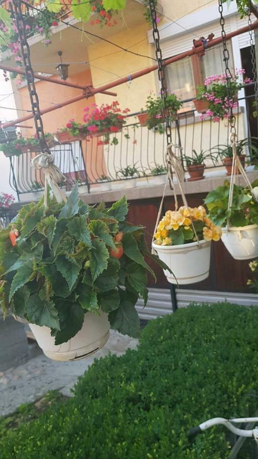 Guest Rooms Ider Sapareva Banya Exterior photo